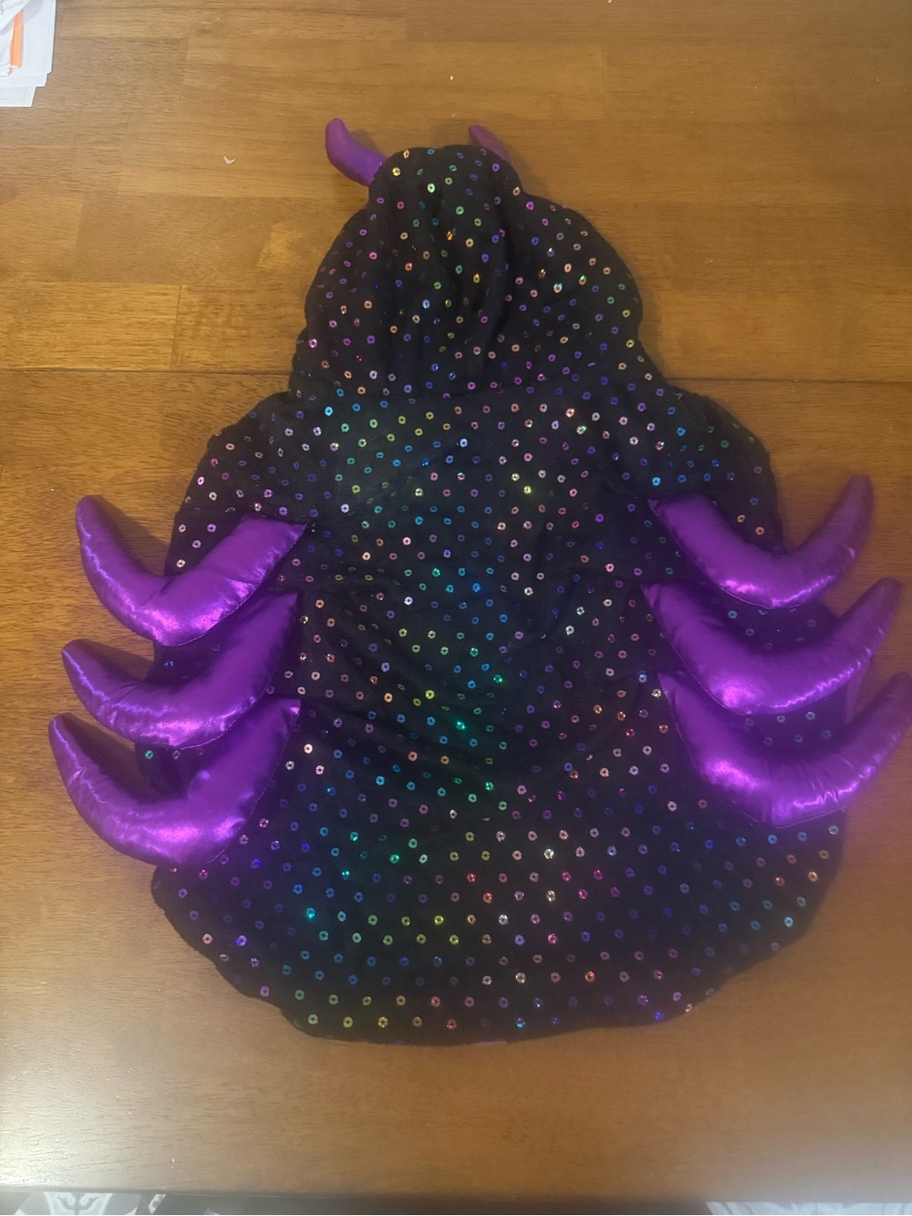 Top Paw Dog Costume Black Hooded Spider